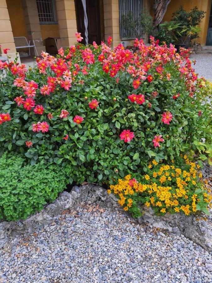 ברגמו B&B Villa Sant'Anna מראה חיצוני תמונה