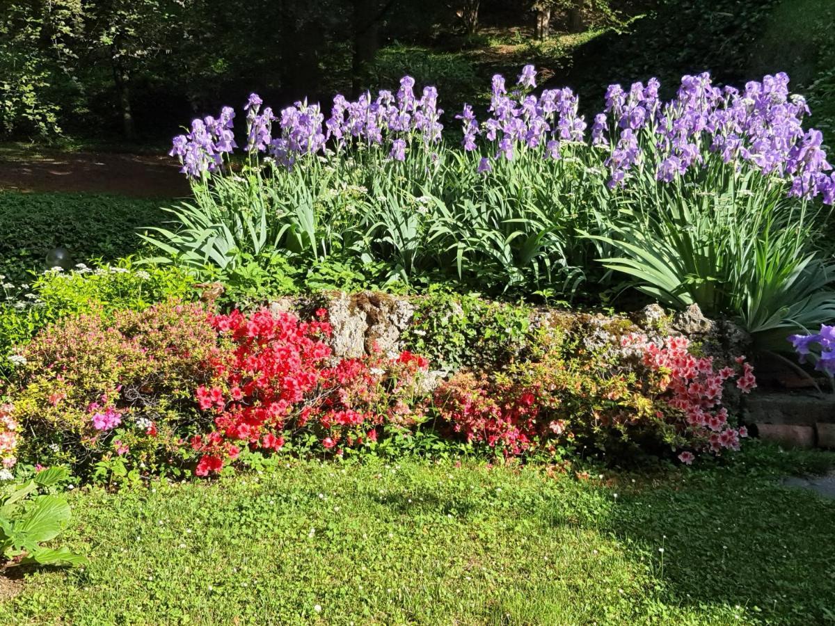 ברגמו B&B Villa Sant'Anna מראה חיצוני תמונה